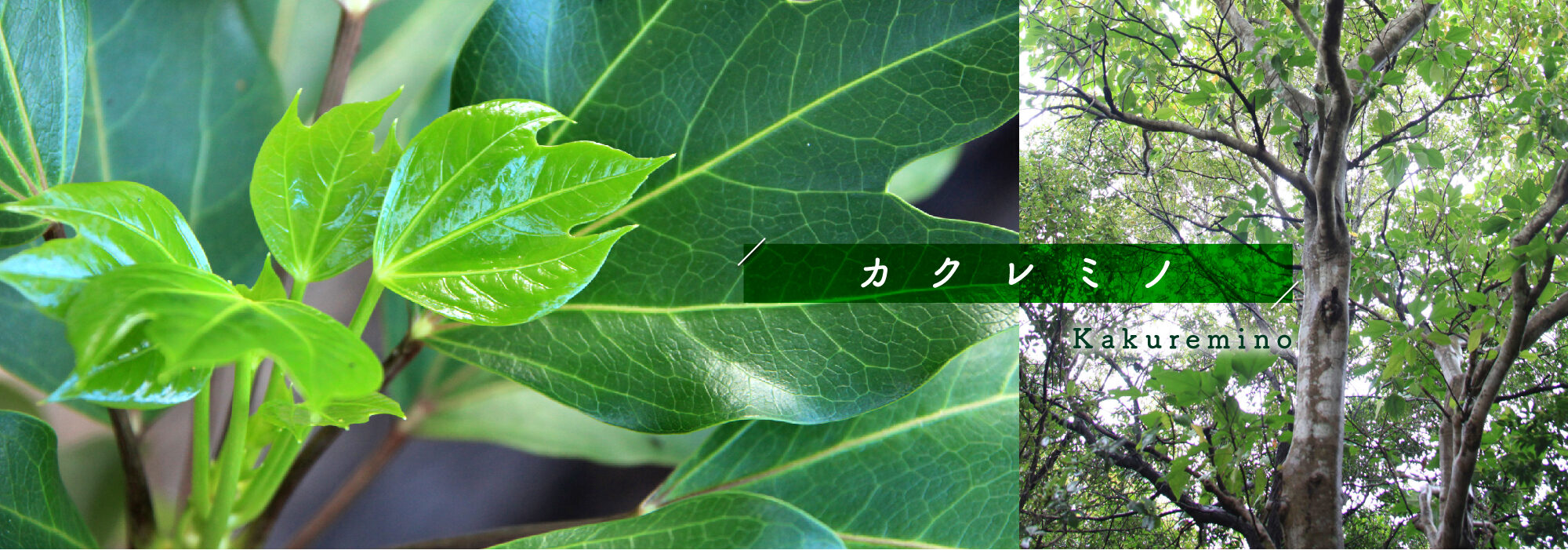 slide01